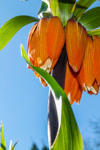 P1070795