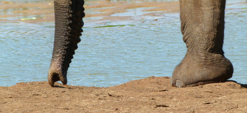2011_Suedafrika_Diashow-543